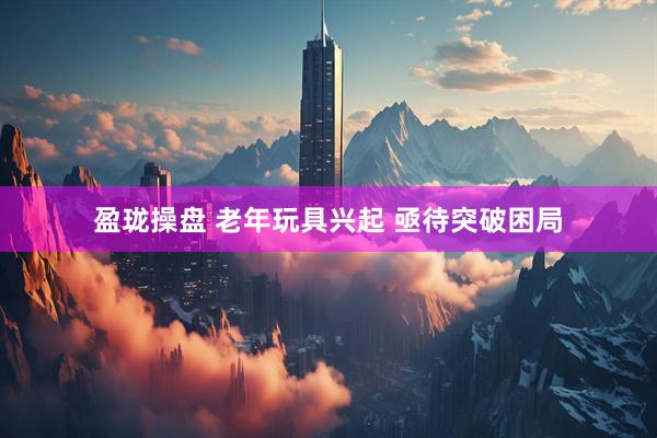 盈珑操盘 老年玩具兴起 亟待突破困局
