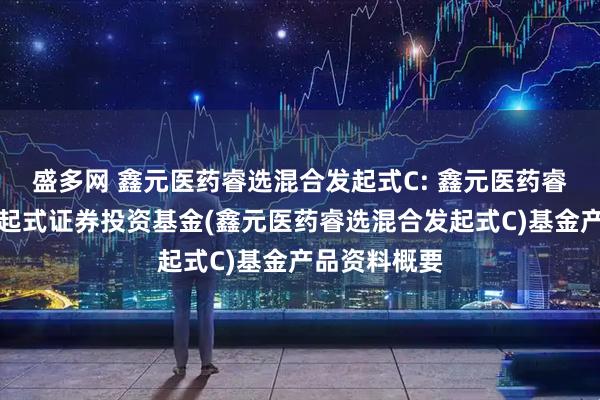 盛多网 鑫元医药睿选混合发起式C: 鑫元医药睿选混合型发起式证券投资基金(鑫元医药睿选混合发起式C)基金产品资料概要